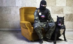 A masked pro-Russian protester sits beside a dog as he poses for a picture inside a regional government building in Donetsk, eastern Ukraine. Ph. Marko Djurica