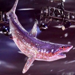caitlinfaith:  vrumblr:  OMG ITS A SHARK THATS A DISCO BAAAAAAALL  sharkolympics