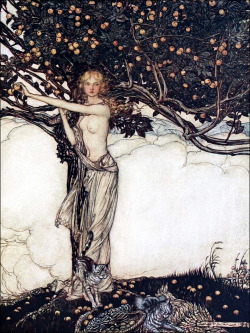 saveflowers1:  Arthur Rackham (1910) from the book RHINEGOLD AND VALKYRIE by Richard Wagner. Source:  http://archive.org/details/rhinegoldvalkyri00wagn 
