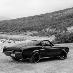 awesomenickverdant:  1968 Ford Mustang Fastback  ‘The Black Death’  