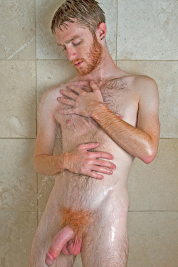 bushymale:  Damn Check out that fluffy ginger bush Check out our other blogs http://tattedmen.tumblr.com/ Tatted Nude Men http://facialhairlove.tumblr.com/ Nude bearded Men http://closeupdick.tumblr.com/ Close up Dick Shots http://manlyuniform.tumblr.com/