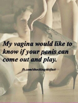 meatgod:  romantic-deviant:  daddysuperbrat12:  You had me at vagina 😈  A series of beautiful riders, meatGod approved 