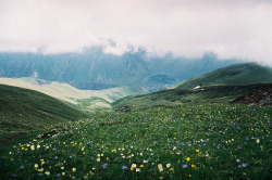 contempts:Paradise by anna gulisashvili on Flickr.