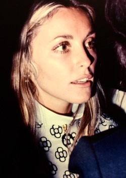 simply-sharon-tate: Sharon Tate, photographed by Peter Borsari at the Los Angeles premiere of Rosemary’s Baby in 1968 