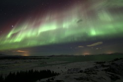 h0neycomb:  jojo-os:  The Northern Lights as seen on tour, 23 December 2014. Incredible. There are not enough adjectives in the world to describe this magic.  one of my life goals is to see the northern lights. maybe ill cry