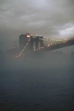 travelingcolors:  Brooklyn Bridge Park | New York (by JD urban)