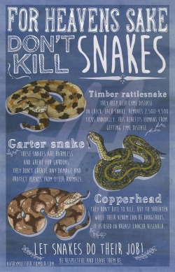 youtaggedthatsnakewrong:  downtroddendeity:  averymuether:  This is another info graphic I did advocating for snakes. When spring comes around snakes start to come out of hibernation and sometimes will end up in people’s backyards. Snakes around this