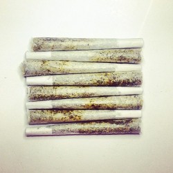 weedporndaily:  Oiled up and ready to #Medicate👌#SHERBERT XL 1.3 gram premium bud joints smeared with a fat dab of SHERBERT oil testing at 82% THC - available @urbanhealingcollective while supplies last!!  by urbanhealingcollective http://ift.tt/UTihQZ