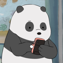 Bear Fun Fact: Panda can send over 50 snapchats in under an hour! 