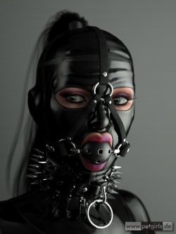 Super fucking hot!  Although no spicked collar.. And that gag should either be a ring gag for use, or a dildo gag for training!