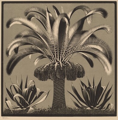 desimonewayland:  M.C. Escher Palm 1933 Wood engraving in black and gray-green, printed from two blocks NGA, Washington DC 