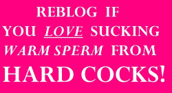 spunklvr:  cocksucker4u:  YES, LOTS AND LOTS OF WARM SPERM AND LOTS AND LOTS OF HARD COCKS!!!  Yesss!!! 