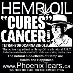 dream-build-create:  Here’s your cure! You’re welcome! #awaken #best #brain #cell #cure #cells #cures #cancer #cancercure  #curescancer #earth #fact #good #helps #hemp #honest #hempoil #hospital #knowledge #lie #love #nature #natural #oil #proven