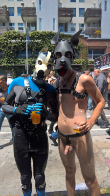 pupfern: Pup made a new friend! Me: http://recon.com/pupfern Him: http://recon.com/sealskin  Dore is almost here and I still don’t know what to wear&hellip; Should I cover up more than I did last year?