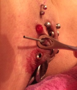 lovefoxhunter1:  keres-nirvana:  Well finally I’ve finished the first part of my project! My cunt is fully pierced!  Only stretching left to do then I can shut up shop!  i can’t wait to see the result of all those streched cunt flesh;))))) 