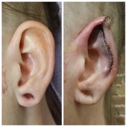ewok-gia:  Pointed ears