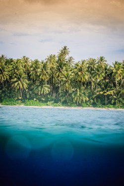 wavemotions:  Mentawai - Landscapes by Henrique Pinguim