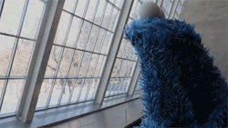 kurotsuchi-sterling:  scumbag-solas:  jhameia:  tonight’s aesthetic: Cookie Monster philosophizing in an art museum  This just changed my life.  The lasagne one has opened my eyes   Cookie monster high af