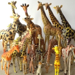 foundandchosen:Now, is everybody in shot? Hold it for just a moment!  #Giraffe #familyphoto  #plasticanimals  #stufficollect