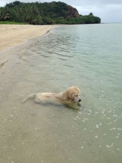 m-ooonn:  she sat in the water for like an hour, just staring at the water peacefully 