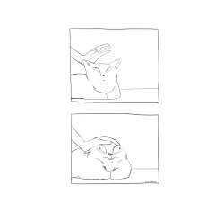 blood-and-pepper: mirandatacchia:  How to pet a cat.  @niuniente 