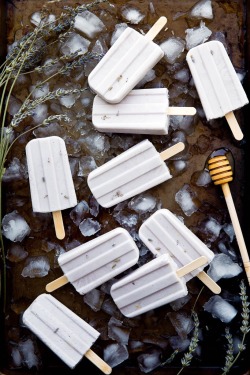 katanaprincess-thoughts:  vegan lavender honey popsicles   ¾ cup almond milk 4 tablespoons honey 2 tablespoons dried lavender flowers 1 ½ cups cultured coconut milk popsicle mold  combine the almond milk, honey, and lavender flowers in a saucepan over