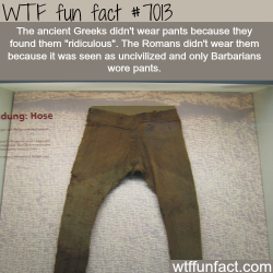 wtf-fun-factss:Pants - WTF fun facts  