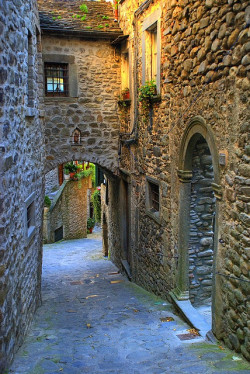 bluepueblo:  Medieval Street, Tuscany, Italy photo via tuscany 