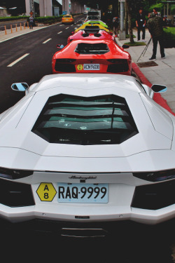 italian-luxury:  Aventadors! What’s life without friends ? Photo Credit: Sport &amp; Luxurious