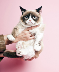  Grumpy cat gets a professional photo shoot at Time. 