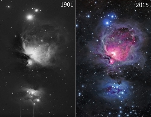 wonders-of-the-cosmos:  Photograph of the Orion Nebula from 1901 and 2015Instagram: wonders_of_the_cosmos