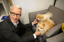 blinkingkills:   anderson cooper with boo the dog (x)  honestly who the fuck cares about anything anymore anderson cooper is holding adorable doges