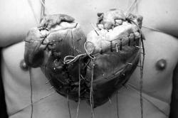 mvillagra:  La forma tan conocida del corazón que dibujamos, se debe a la unión de dos corazones. 