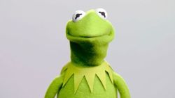 official-kermit:  twinkcharacteroftheday:  The Twink Character Of The Day Is: Kermit the Frog (The Muppets) submitted by @wlw-pluto  No Idea What This Means But I Assume It’s Nice. Thank You Everyone!  