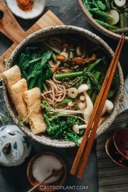 foodffs:Vegan Soba Noodle Soup (Sansai Soba)This soba noodle soup features fresh spring veggies, crispy tofu, bamboo shoots, and mushrooms in a smoky, savory broth with toothy buckwheat noodles. It’s both refreshing and hearty - a slurpable and soothing