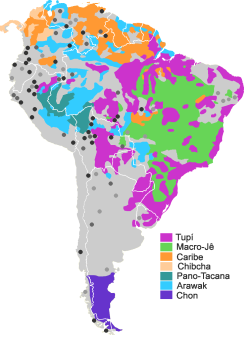 tropylium:mapsontheweb:Extenisve linguistic families of South America (more than 5 languages), small familes (dark grey), isolates (black) and doubful/unclassified languages (clear grey).This has fascinated me as long as I’ve known about it. That whole
