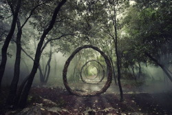jedavu:  Forest Sculpture by Spencer Byles   This is seriously cool! Someone take me here!