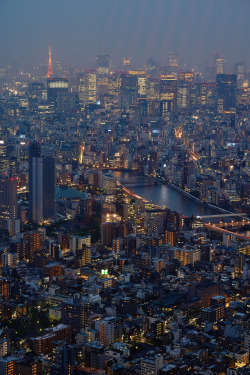fuckyeahjapanandkorea:   	Tokyo at night von Marek 