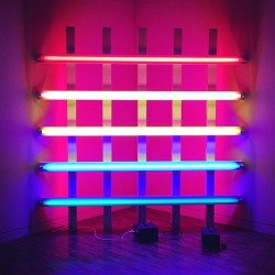 myhandsarealwaysdirty:  Artist Dan Flavin—from SFMOMA’s collection—adds a certain glow to ourGorgeous exhibition. Today’s the last day to get discount tickets to our opening party, Grit &amp; Glamour, on 6/20. Dancing, voguing, nail art by TopCoat