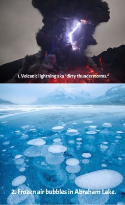 ushiookazaki:  terra-mater:  15 amazing things in nature you won’t believe actually exist Source  Take me 