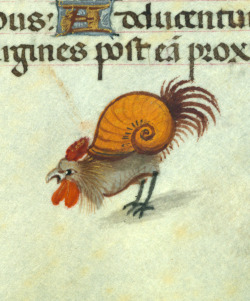 discardingimages: snailchicken book of hours, Bruges ca. 1500 Baltimore, Walters Art Museum, Ms. W.427, fol. 57r 