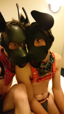 gayboykink:  kinkyboyfrance:  Timo and I finally met this week-end, what a great moment spent with him ! #puppylove  You cuties even got matching undies. *awwwww* 