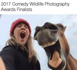 thriveworks:  2017 Comedy Wildlife Photography Awards Finalists (see 7 more)