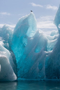 st0rming:    Jökulsárlón Iceberg II by   cheryl strahl 