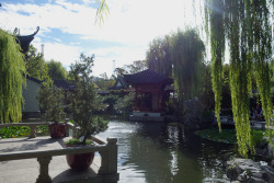 tovalova:  451 Chinese Gardens on Flickr.Chinese Gardens!
