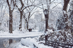arunaea:  A Winter Wonderland in Central Park by Paris in Four Months on Flickr. 