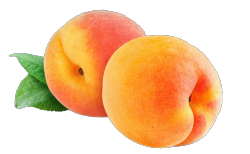 insinuatory:  you’re a (transparent) peach 