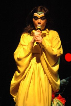 bjorkfr:  Björk live à Wolverhampton - 25 avril 2008nouvelle photo