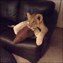 4gifs:That could’ve been me. [via]