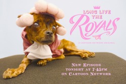 hilaryflorido:  Maybe my dog, Horus, dressed up for the Long Live the Royals episode tonight. You should check it out too so you don’t disappoint this gentleman dog!   